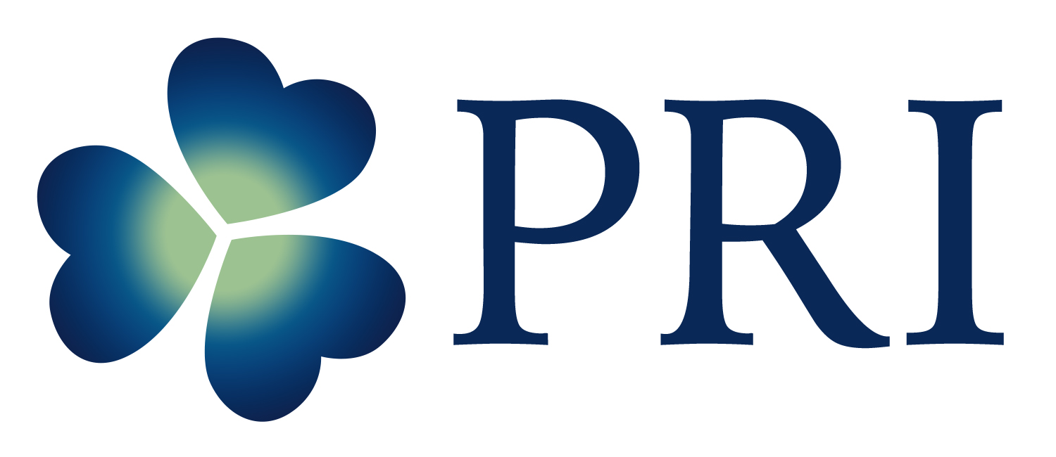 Logo Past Reality Integration (PRI) met link naar www.prionline.nl
